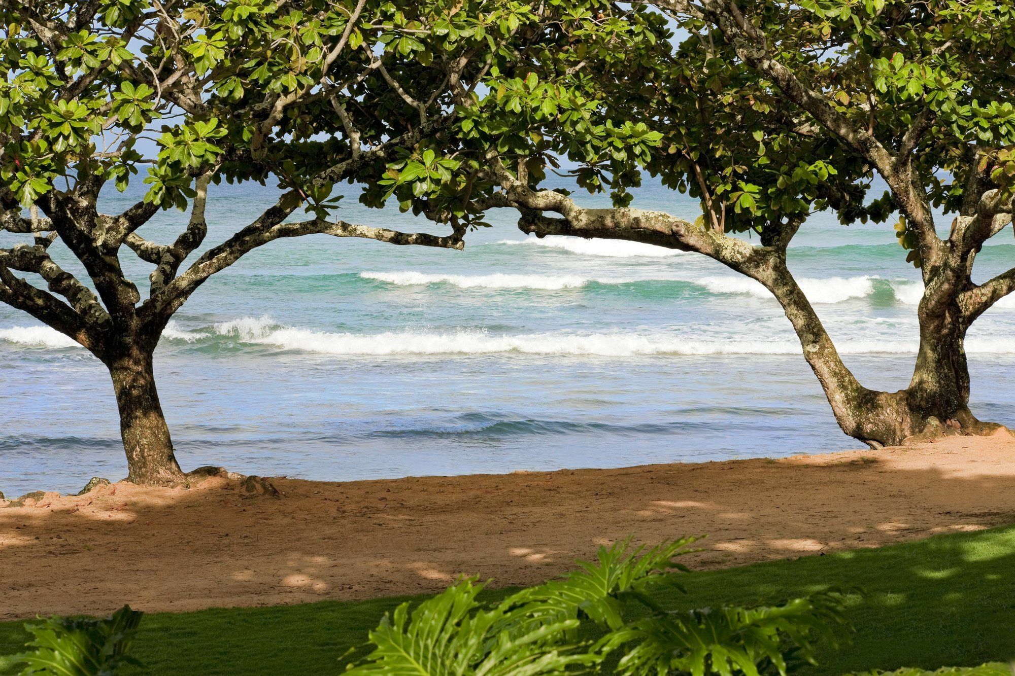 פרינסוויל 1 Hotel Hanalei Bay מראה חיצוני תמונה